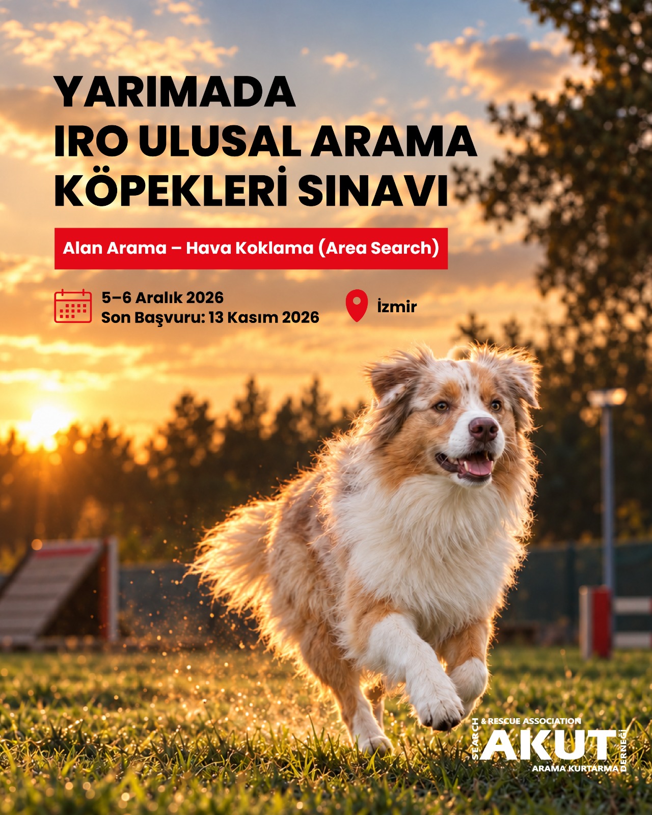 Yarımada IRO Ulusal Arama Köpekleri Sınavı - Alan Arama (Area Search)